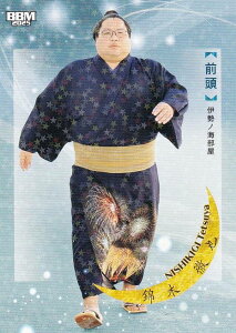 yLJ[hŁzBBM 2025 告oJ[h 26 і O O (M[J[h) uav-NAGOMI-