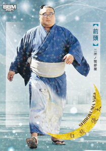 yLJ[hŁzBBM 2025 告oJ[h 41 F D O (M[J[h) uav-NAGOMI-