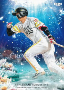 BBM x[X{[J[h CO55 { \tgoNz[NX (M[J[h/CROSS OCEAN) 2025 2ndo[W