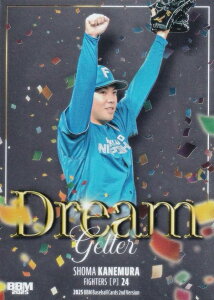 BBM x[X{[J[h DG08 ^ kC{nt@C^[Y (CT[gJ[h/DREAM GETTER) 2025 2ndo[W