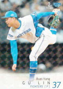 yLJ[hpzBBM x[X{[J[h 505 × kC{nt@C^[Y (M[J[h) 2025 2ndo[W