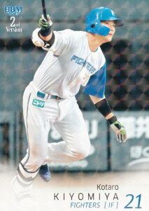 yLJ[hpzBBM x[X{[J[h 510 {KY kC{nt@C^[Y (M[J[h) 2025 2ndo[W