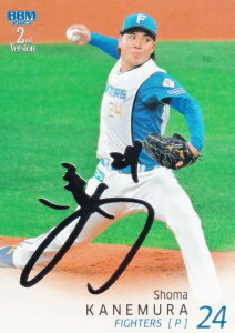 y┓TCzBBM x[X{[J[h 502 ^ kC{nt@C^[Y (M[J[h) 2025 2ndo[W