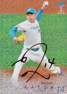 ybhTC 19/25zBBM x[X{[J[h 499 MV kC{nt@C^[Y (M[J[h) 2025 2ndo[W