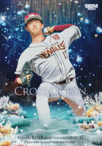 yz 090/100zBBM x[X{[J[h CO66 Îӎ kyVS[fC[OX (M[J[h/CROSS OCEAN) 2025 2ndo[W