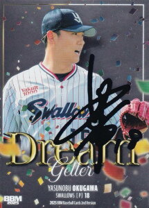 yu[TC 030/100zBBM x[X{[J[h DG05 싱L NgX[Y (CT[gJ[h/DREAM GETTER) 2025 2ndo[W