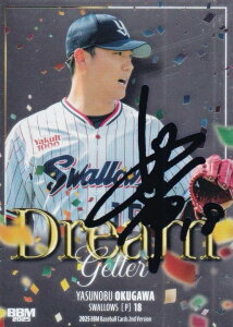 yu[TC 053/100zBBM x[X{[J[h DG05 싱L NgX[Y (CT[gJ[h/DREAM GETTER) 2025 2ndo[W