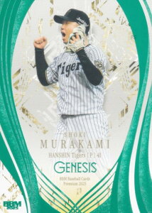 yGh 039/200zBBM x[X{[J[h 013  _^CK[X (M[J[h) 2025 GENESIS WFlVX