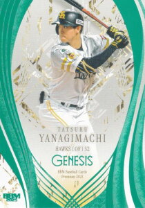 yGh 178/200zBBM x[X{[J[h 063 B \tgoNz[NX (M[J[h) 2025 GENESIS WFlVX