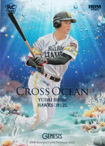 y19/50zBBM x[X{[J[h CO07 qY \tgoNz[NX (nCO[hCT[gJ[h/CROSS OCEAN) 2025 GENESIS WFlVX