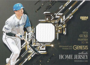 yz[W[W[ ʏ 193/350zBBM x[X{[J[h SiT kC{nt@C^[Y (v~ACT[gJ[h/rAJ[h) 2025 GENESIS WFlVX