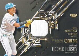 yz[W[W[ ʏ 294/350zBBM x[X{[J[h Ju kC{nt@C^[Y (v~ACT[gJ[h/rAJ[h) 2025 GENESIS WFlVX