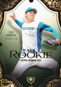 BBM x[X{[J[h RP22 ēcq kC{nt@C^[Y (M[J[h) [L[GfBV v~A2025