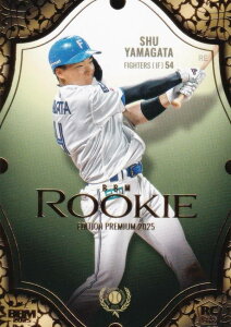 BBM x[X{[J[h RP24 RpG kC{nt@C^[Y (M[J[h) [L[GfBV v~A2025