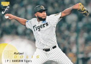 BBM x[X{[J[h 605 hX _^CK[X (M[J[h/1sto[WUPDATE) 2025 FUSION