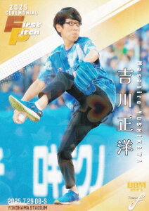 yzPP 275/300zBBM x[X{[J[h FP54 g쐳m _[nj[ (M[J[h/nJ[h) 2025 FUSION