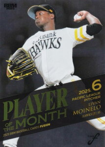 y⎆ 132/200zBBM x[X{[J[h PM11 L.Cl \tgoNz[NX (M[J[h/MVP 6x pE[O ) 2025 FUSION