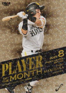 y+zPP 05/25zBBM x[X{[J[h PM20 q听 \tgoNz[NX (M[J[h/MVP 8x pE[O Ŏ) 2025 FUSION