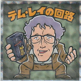 楽天市場 テム レイ 回路の通販