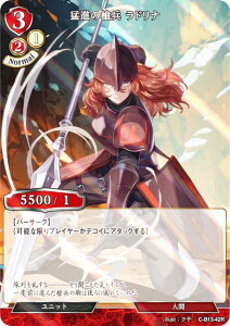 ypzrfBoChTCG C-B13-42R Ґȋ hi (R A) u[X^[pbN13e A]̉̂̂