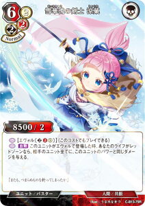 ypzrfBoChTCG C-B13-79R ؗ̌m  (R A) u[X^[pbN13e A]̉̂̂