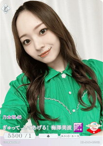 rfBoChTCG uCg BB-N46-095SR āAĂI~Vg (SR X[p[A) u[X^[pbN T؍46