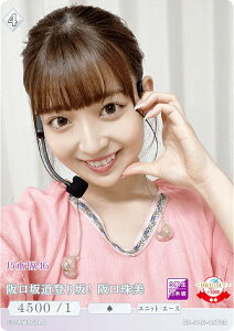 rfBoChTCG uCg BB-N46-097SR ⓹oI (SR X[p[A) u[X^[pbN T؍46