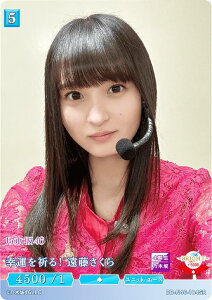 rfBoChTCG uCg BB-N46-104SR K^FI (SR X[p[A) u[X^[pbN T؍46