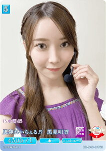 rfBoChTCG uCg BB-N46-107SR _ꂢ()  (SR X[p[A) u[X^[pbN T؍46