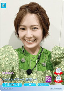 rfBoChTCG uCg BB-N46-110SR X}Cp[I{C (SR X[p[A) u[X^[pbN T؍46