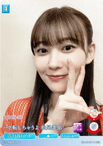 rfBoChTCG uCg BB-N46-114SR oN]Ⴄ C (SR X[p[A) u[X^[pbN T؍46