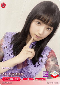 rfBoChTCG uCg BB-N46-117SR ܉ ܕS䝉 (SR X[p[A) u[X^[pbN T؍46