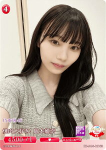 rfBoChTCG uCg BB-N46-121SR ēDI{P (SR X[p[A) u[X^[pbN T؍46