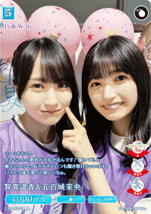 ypzrfBoChTCG uCg BB-N46-070R{ yܕS䝉 (R{ A) u[X^[pbN T؍46