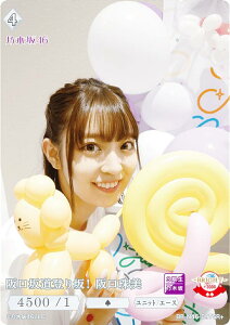 ypzrfBoChTCG uCg BB-N46-097SR{ ⓹oI (SR{ X[p[A) u[X^[pbN T؍46