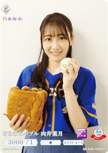 ypzrfBoChTCG uCg BB-N46-100SR{ 낯ou t (SR{ X[p[A) u[X^[pbN T؍46