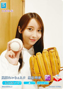 ypzrfBoChTCG uCg BB-N46-107SR{ _ꂢ()  (SR{ X[p[A) u[X^[pbN T؍46