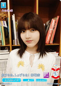 ypzrfBoChTCG uCg BB-N46-113SR{ ȁA傰ȁIїړ (SR{ X[p[A) u[X^[pbN T؍46