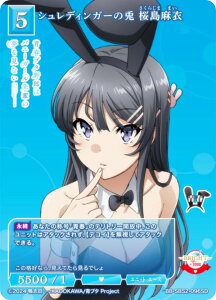 rfBoChTCG uCg BB-SBS2-096SD VfBK[̓e  (SD) X^[eBOfbL Aj tu^YV[Y
