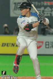 プロ野球チップス2019 第2弾 reg-090 王　柏融 (日本ハム) レギュラーカード