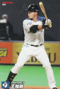 v싅`bvX2022 1e reg-061 @Z ({n/M[J[h)