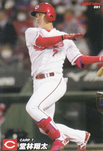 v싅`bvX2022 2e reg-091 с@đ (L/M[J[h)