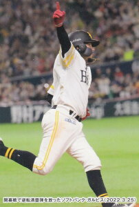 v싅`bvX2022 2e C-08 \tgoNFKrX (`FbNXgJ[h)