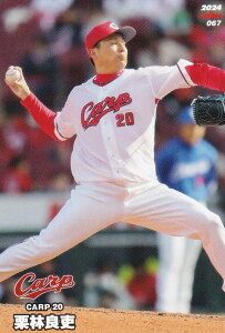 v싅`bvX2024 2e reg-067 Iс@Ǘ (L/M[J[h)