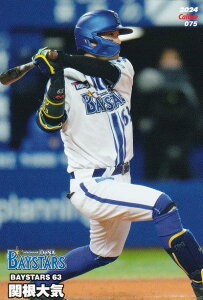 �v���싅�`�b�v�X2024 ��2�e reg-075 �֍��@��C (DeNA/���M�����[�J�[�h)