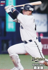 v싅`bvX2024 2e reg-091 X@F (IbNX/M[J[h)