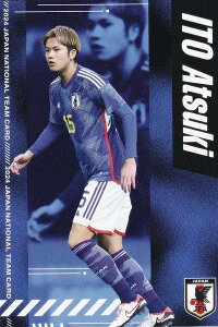 J[O`bvXTbJ[{\`[`bvX reg-017 ɓ֎ YabY (M[J[h) TbJ[{\`[`bvX2024