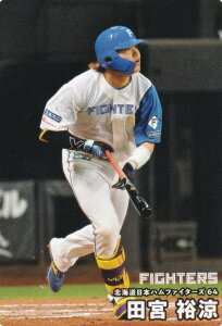 v싅`bvX2025 2e reg-099 c{ T ({n/M[J[h)