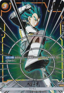 ypzhS{[X[p[J[hQ[ FB02-132 xW[^ (UC AR) t[W[h Ajo[T[pbN01