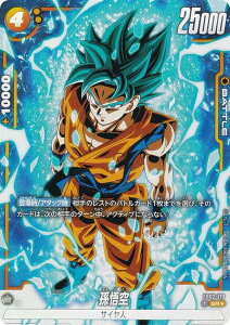 ypzhS{[X[p[J[hQ[ t[W[h FB02-119  (SR X[p[A) u[X^[pbN ΂̓C